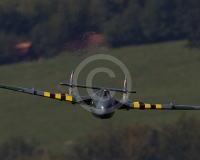 1GLOVELIER 452