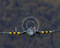 1GLOVELIER 460