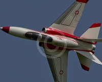 1GLOVELIER 483