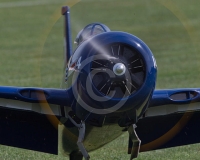 1GLOVELIER 537