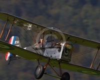 1GLOVELIER 604