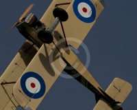 1GLOVELIER 607