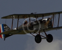 1GLOVELIER 613