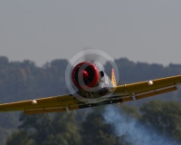 2GLOVELIER 1006