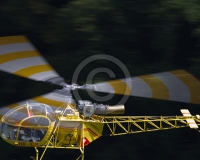 2GLOVELIER 1122
