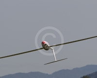 2GLOVELIER 1164