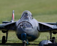 2GLOVELIER 1170