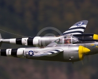 2GLOVELIER 1295