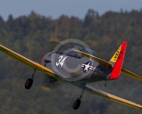 2GLOVELIER 955
