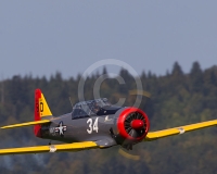 2GLOVELIER 973