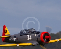 2GLOVELIER 977