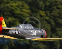 2GLOVELIER 981