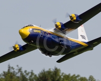 3GLOVELIER 1438