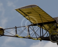 3GLOVELIER 1676
