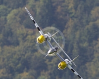 3GLOVELIER 1806