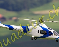 1HELICO012