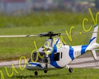 1HELICO021