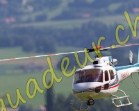 1HELICO042