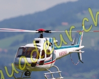 1HELICO048