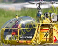 1HELICO080