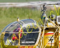 1HELICO086