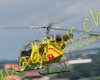 1HELICO106