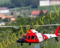 1HELICO179