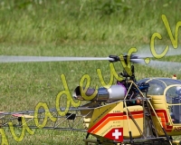 1HELICO199