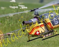1HELICO222