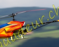1HELICO242