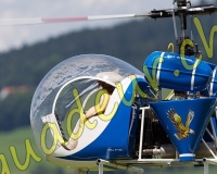 1HELICO253