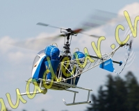 1HELICO266