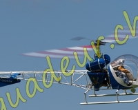 1HELICO276