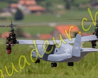 1HELICO382