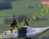 1HELICO391