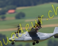 1HELICO395