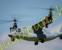 1HELICO396
