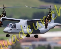 1HELICO408
