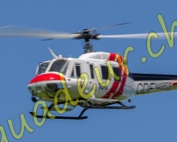 1HELICO461