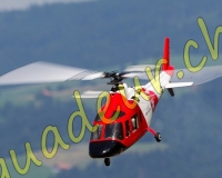 1HELICO517