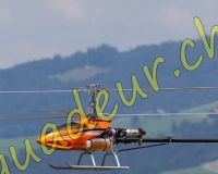 1HELICO564