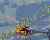 1HELICO571