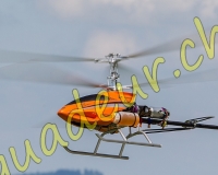 1HELICO574