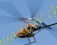 1HELICO590