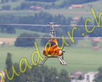 1HELICO604