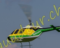 1HELICO649