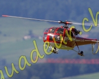 1HELICO739