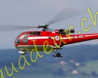 1HELICO750