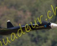 2MEIRINGEN262-Modifier