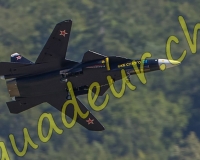 2MEIRINGEN308-Modifier